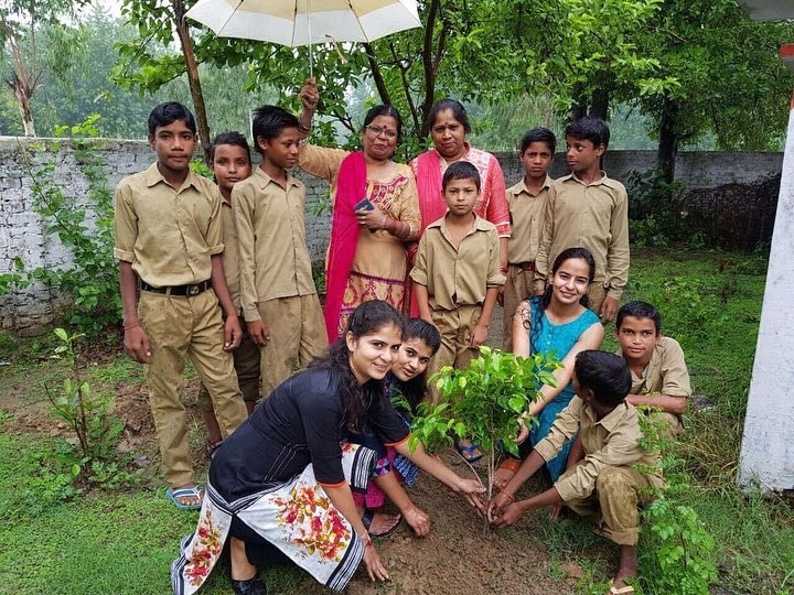 PLANTATION OF TREES IN MONSOON…!!